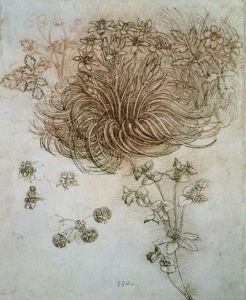 Reprodukcja Study of plants and flowers Renaissance art. Leonardo da Vinci