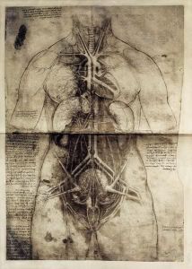 Reprodukcja Anatomic studio Leonardo da Vinci