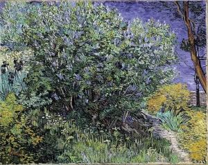 Reprodukcja Lilac Bush 1889 Vincent van Gogh