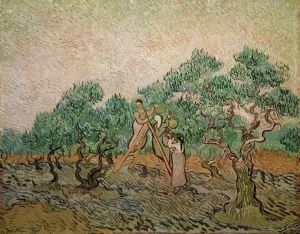 Reprodukcja The olive Orchard 1889 Vincent van Gogh