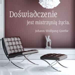 cytat: doświadczenie jest mistrzynią życia 1768 naklejka