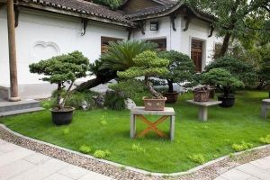 ogród bonsai 2227 fototapeta