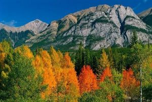 jesień w Rocky Mountains Kanada 1455 fototapeta