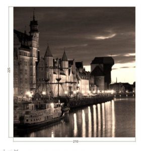 Indywidualna fototapeta Gdańsk panorama Żuraw 293 kolorystyka sepia 210x225